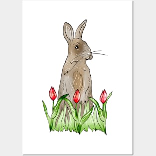 European Rabbit Posters and Art